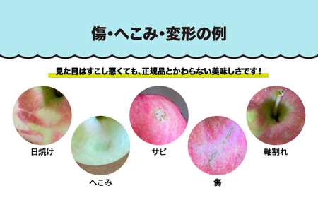りんご 品種おまかせ 訳あり 無印 約5kg 2025年産 令和7年産 フルーツ 果物 山形県 ja-riwax5