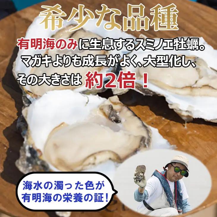 【天然】有明海産住之江牡蠣　冷凍スミ☆スター 3kg 牡蠣 冷凍 殻付き B160-013