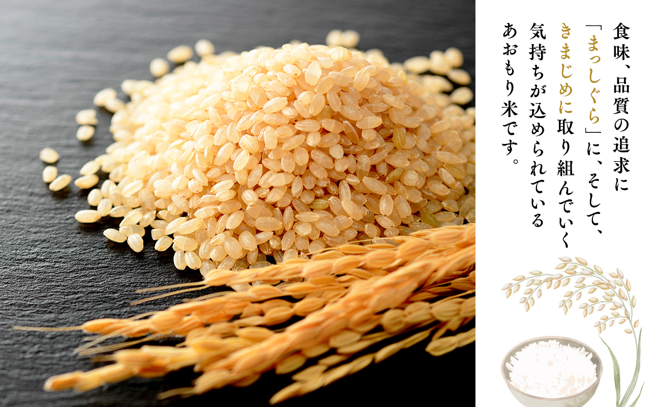 【6月発送】まっしぐら10kg(玄米)【株式会社 tawwel】