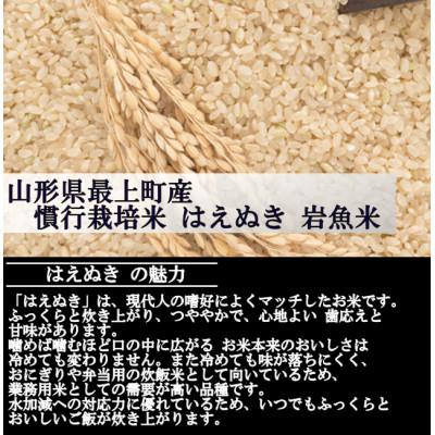 ふるさと納税 最上町 新米　令和8年産 慣行栽培米 はえぬき　玄米 10kg　山形県産　西塚農場 |  | 01