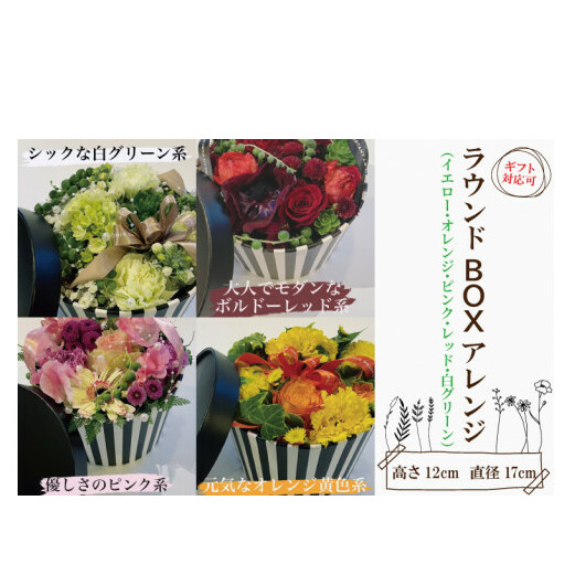 DR-3　ラウンドアレンジ　BOXアレンジ　ボックスアレンジ　サプライズ　箱アレンジ　フラワーアレンジ　花　お花　贈り物　誕生日　送別　母の日　ホワイトデー