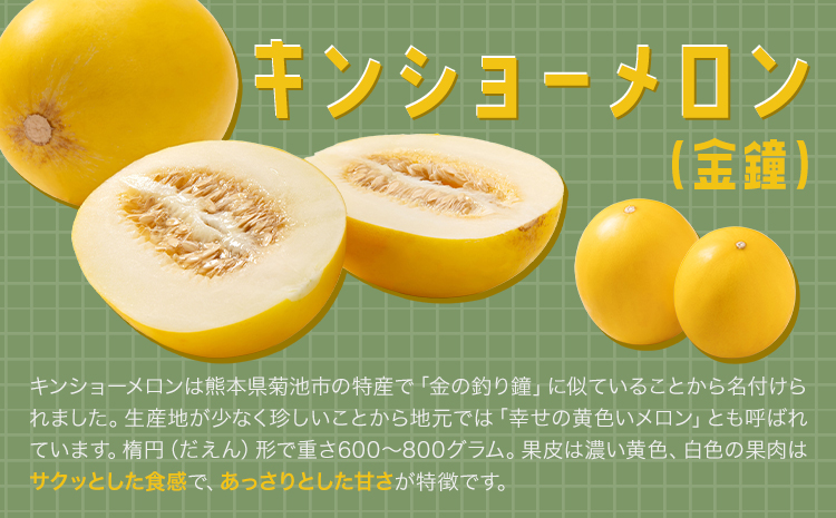 キンショーメロン 4kg(6～9玉) メロン《2026年4月上旬-7月上旬頃出荷》熊本県 菊池市 果物 フルーツ 金鐘 ノーネットメロン 黄色いメロン 菊池市産 熊本県産 九州産 送料無料---101