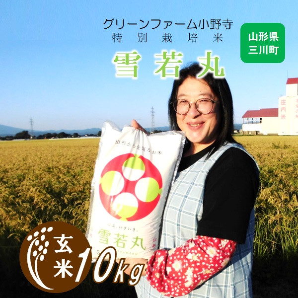 
            【玄米】グリーンファーム小野寺の特別栽培米雪若丸10kg（令和7年産新米予約）
          