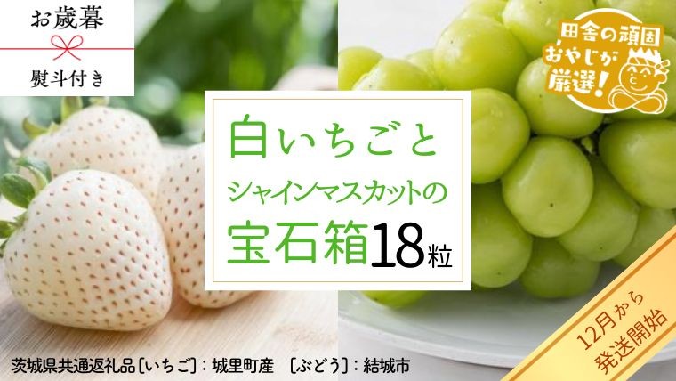
                  【 お歳暮 熨斗付 】 シャインマスカットと白いちごの 宝石箱 18粒【2026年12月から発送開始】（茨城県共通返礼品 [ぶどう]：結城市　[いちご]：城里町産） いちご 苺 イチゴ 白いちご 白イチゴ シャインマスカット マスカット 宝石箱
                