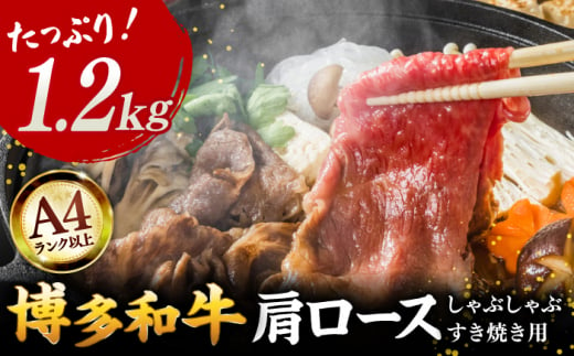 【A4ランク以上！】博多和牛 牛肉 肩ロース しゃぶしゃぶ すき焼き用 1.2kg ▼ 牛肉 肉 にく 返礼品 美味しい お肉 家族 口コミ 食材 博多 本場 福岡 国産牛 特産品 大好評 冷凍 お土産 すき焼き しゃぶしゃぶ A4ランク 大容量 大量 株式会社MEAT PLUS/桂川町 [ADAQ093]