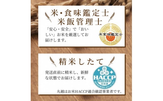 京都丹波産 きぬひかり 5kg×2 計10kg ※米食味鑑定士厳選 ※精米したてをお届け【京都伏見のお米問屋が精米】 米 白米 令和6年産 ※沖縄本島・離島への配送不可