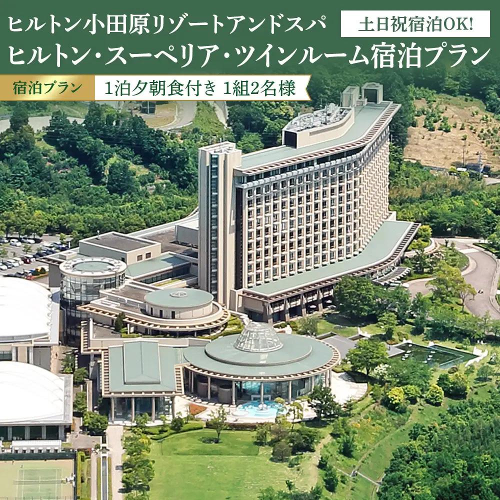 土日祝宿泊OK!　ヒルトン・スーペリア・ツインルーム宿泊プラン　1泊夕朝食付き＜1組2名様＞★オーシャンビュー！天然温泉大浴場、プール施設利用含む【 ホテル  ヒルトン】
