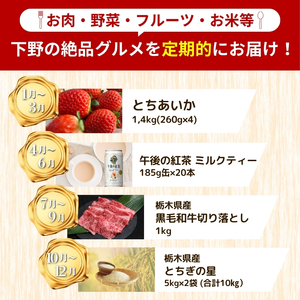 下野市のうまいもん定期便4回 | とちあいか 午後の紅茶ミルクティー 栃木県産黒毛和牛切り落とし 栃木県産とちぎの星10kg 月ごとに届くものが変わる 送料無料 栃木県 下野市