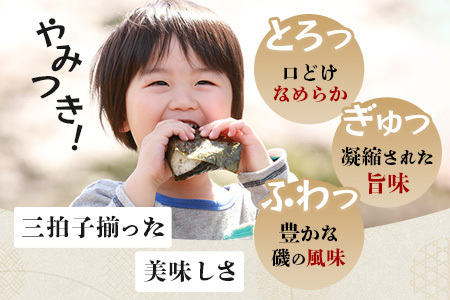 ご自宅用におススメ 有明海の恵「佐賀のり」焼海苔 焼きのり 合計30枚 B-782_C