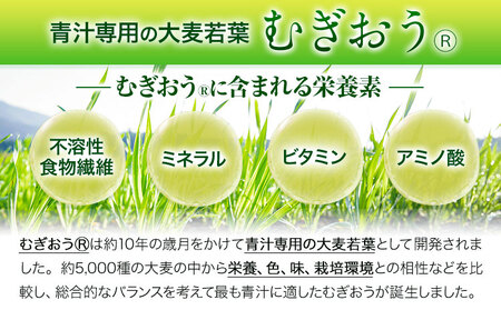 緑効青汁 1箱 3.5g×90袋《30日以内に出荷予定(土日祝除く)》大麦若葉 青汁 むぎおう 健康 ロングセラー 