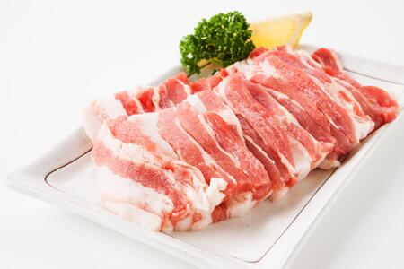 瀬戸内育ち “極上”の豚肉「瀬戸のもち豚せと姫」焼肉セット約700g (バラ400g・ロース300g・自家製焼肉のタレ)【肉 豚肉 焼肉 セット 豚バラ ロース タレ付き スライス　国産 お肉 精肉セ