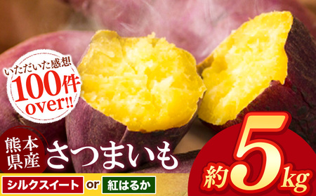 【 先行予約 】さつまいも 約 5kg シルクスイート or 紅はるか | 高評価 多数 ランキング 入賞 甘藷 蜜いも 秋の味覚 品種お任せ 訳あり 家庭用 サイズ不均一 小さめ キズ スレ 家庭用 期間限定 熊本県産 高糖度 芋 焼き芋 鍋 大学いも お菓子