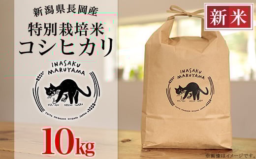 
            L4-K101新潟県長岡産 特別栽培米コシヒカリ 10kg
          