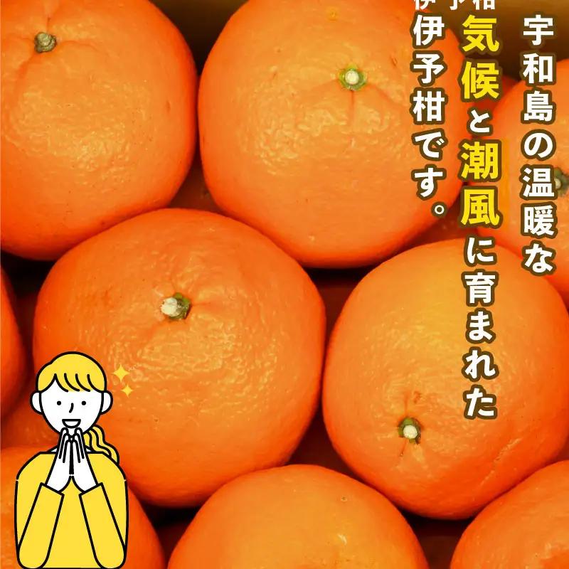 みかん 訳あり 伊予柑 いよかん 約5kg スーパー山田屋 先行予約 果物 くだもの フルーツ 柑橘 mikan 蜜柑 愛媛蜜柑 愛媛みかん わけあり サイズ 不揃い 産地直送 数量限定 国産 愛媛 