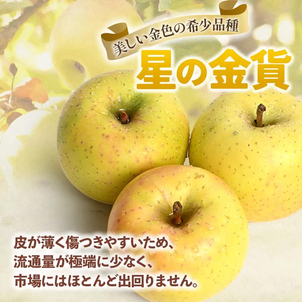 青森県産りんご サンふじ＆星の金貨 セット 約5kg 11月中旬～