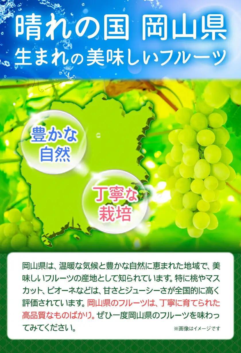 黄金桃 約1kg 花田青果株式会社 桃 もも