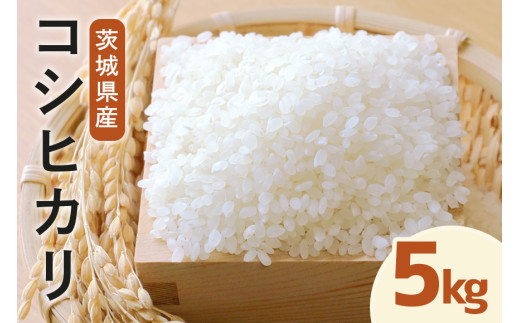 令和7年度産 みねしまふぁーむ 常陸牛農家が育てるコシヒカリ 5kg コシヒカリ 低農薬 低化学肥料 米 発送直前に精米 精米 コシヒカリ米 茨城県産 白米 お米 コメ おこめ こめ こしひかり 有機 ブランド 健康 ギフト 贈り物