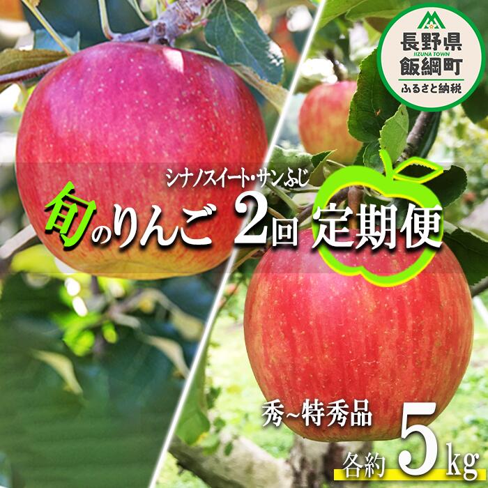 【ふるさと納税】 旬のりんご 【 定期便 】 秀 〜 特秀 5kg × 2回 永正の地蔵尊神谷農園 沖縄県への配送不可 令和7年度収穫分 長野県 飯綱町 〔 信州 果物 フルーツ リンゴ 林檎 長野 円 予約 農家直送 〕発送期間：2025年10月上旬〜12月中旬 {***}