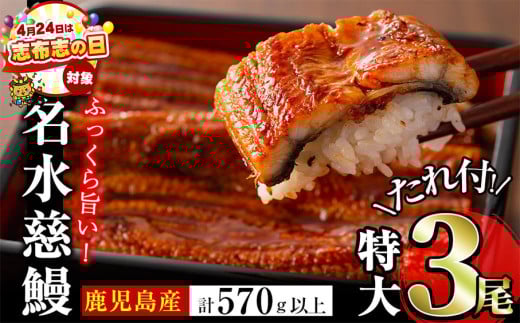 鹿児島県産うなぎ蒲焼 名水慈鰻 特大3尾(1尾190g以上)＜計570g以上＞　うなぎ 鰻 ウナギ 3尾 国産 蒲焼 かばやき 冷凍 真空 真空パック 無頭 うな重 ひつまぶし タレ 山椒 b1-023