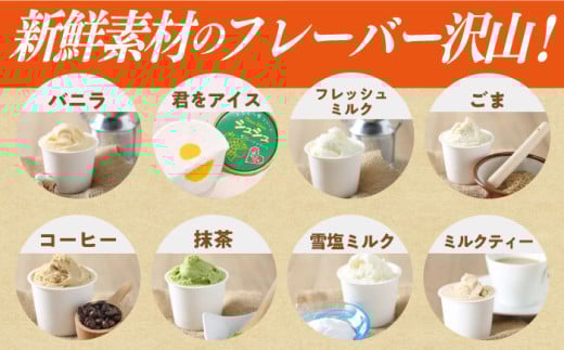 シュシュのシュシュのスペシャルジェラート12個セット（定番/季節限定/スペシャル2種） / アイス あいす アイスクリーム あいすくりーむ ジェラート じぇらーと スイーツ すいーつ / 大村市 / 