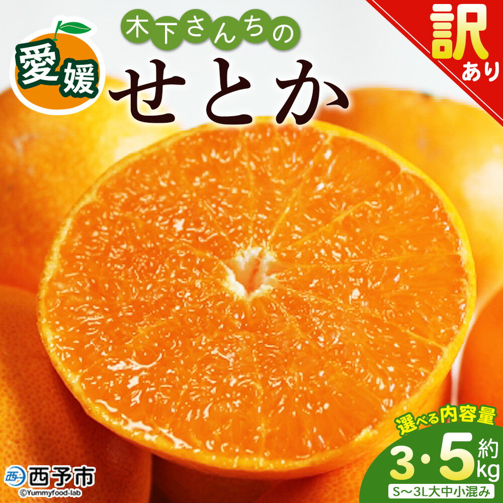 【ふるさと納税】＜木下さんちのせとか 訳あり 約3kg/5kg（S〜3L大中小混み）＞ 選べる 内容量 訳アリ 家庭用 自宅用 柑橘 ミカン みかん 蜜柑 果物 くだもの フルーツ 国産 特産品 木下農園 愛媛県 西予市【常温】『2027年2月下旬〜3月下旬に順次出荷』