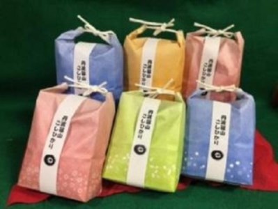 【令和7年産新米】丹波篠山コシヒカリ 白米３合入×６袋　AZ12 白米 100％単一原料米 産地直送米 贈答 おいしい お米 精米 コシヒカリ ブランド おこめ 健康 ギフト 内祝い 贈り物 送料無料 おすすめ 人気 口コミ