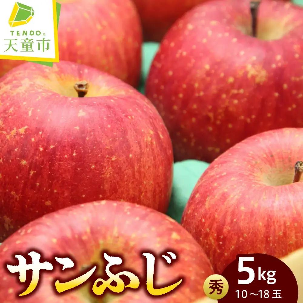 サンふじ 約 5kg 果物 山形 りんご サンふじ