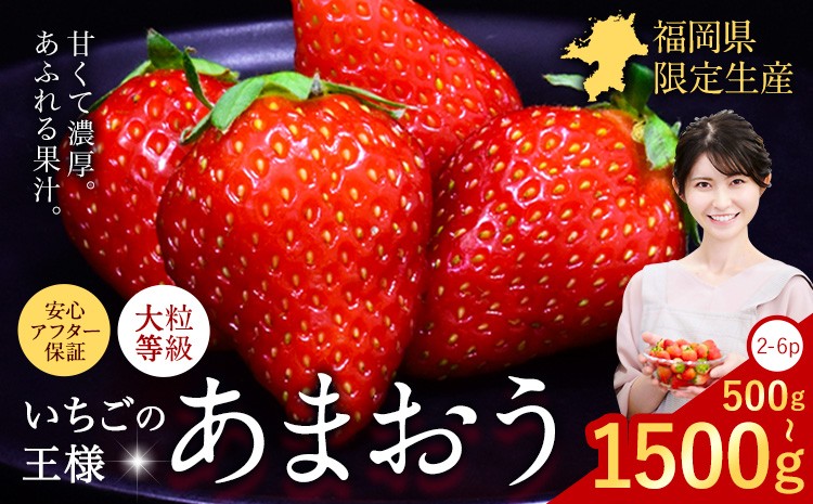 
                  ★2027年出荷分★いちご あまおう 先行予約 選べる内容量 500g 1000g 1500g 苺 送料無料【着日指定不可】《2月中旬-3月中旬頃出荷》イチゴ 果物 フルーツ 福岡県 鞍手郡 小竹町
                