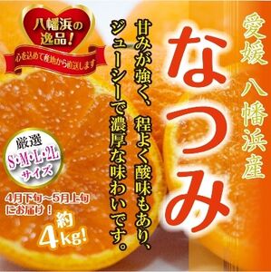 2025年4月発送開始　甘みが強くて濃厚!初夏のみかん「なつみ」4キロ【C39-35】_美味しいみかん 美味しいミカン おいしいみかん おいしいミカン 人気のみかん 人気のミカン 国産みかん 国産ミカン 八幡浜みかん 八幡浜ミカン 甘いみかん 甘いミカン あまいみかん アマイミカン 果物みかん くだものみかん 果物ミカン クダモノミカン 美味しいなつみ 美味しいナツミ おいしいなつみ おいしいナツミ 人気のなつみ 人気のナツミ 国産なつみ 国産ナツミ 八幡浜なつみ 八幡浜ナツミ 甘いなつみ 甘いナツミ あま