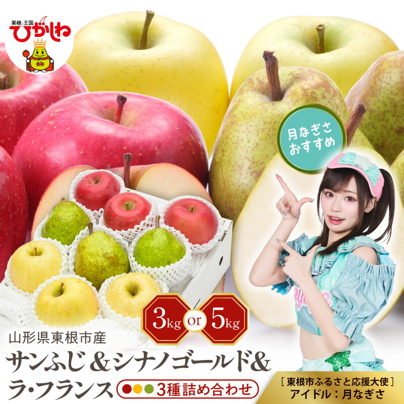 【ふるさと納税】2026年産 サンふじ シナノゴールド ラフランス 3種 ( 選べる: 3kg / 5kg )| りんご 林檎 リンゴ 西洋梨 洋ナシ 洋なし フルーツ 果物 くだもの セット 限定 お取り寄せ 送料無料 山形 産地直送 山形県 東根市