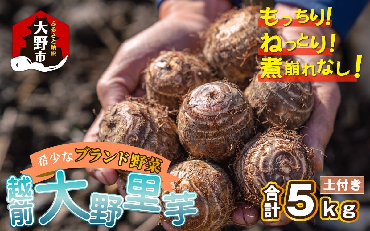 
            【先行予約】越前大野里芋 5kg ねっとりうまい煮崩れしない！【2026年3月中旬～4月上旬出荷】
          