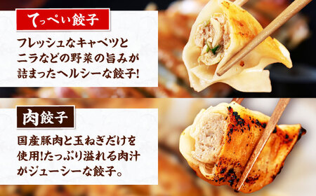 石田てっぺい 濃厚とんこつ つけ麺・ラーメン・餃子2種  2人前セット 冷凍 餃子 ギョーザ つけ麺 つけめん 惣菜 おかず 国産 大阪府高槻市/無人屋[AOCX045]