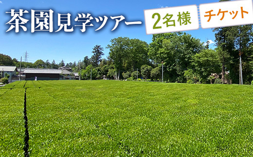 茶園見学ツアー2名様チケット | 体験 茶園 老舗 さしま茶 猿島茶 和紅茶 いずみ 吉田茶園 茨城県 古河市 関東 見学 ツアー 2名 _BM06