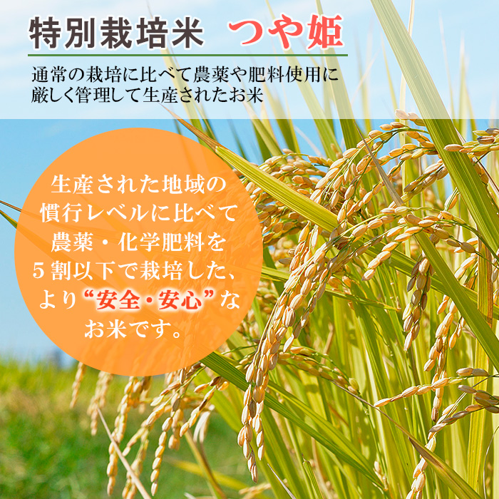 【2月発送開始】 【定期便12回】 先行予約 令和7年産 新米 