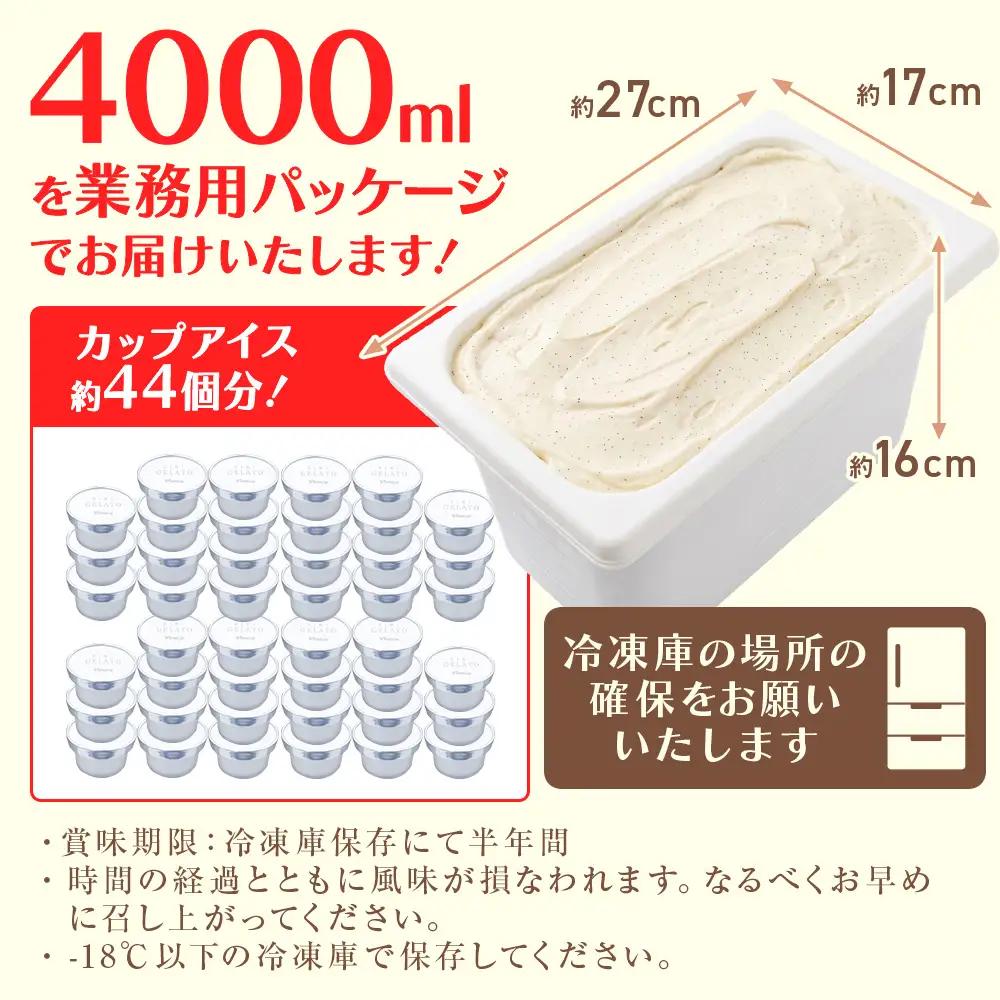 【訳あり】 ジェラート 4L クッキークリーム　ジェラート