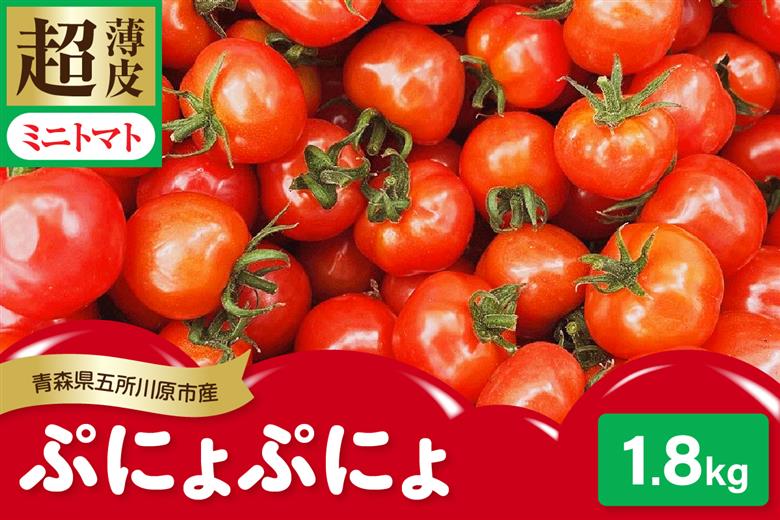 【2025年 先行受付】超薄皮 ミニトマト 約1.8kg 「ぷにょぷにょ」 青森 五所川原 トマト 野菜