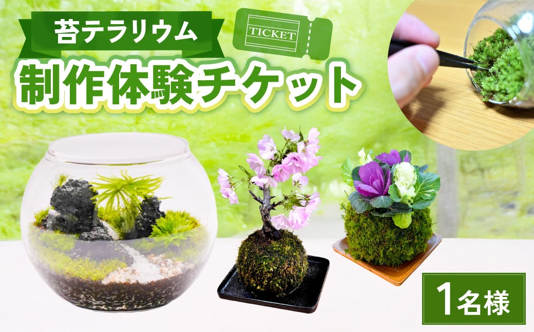 
            苔テラリウムの制作体験チケット 1名様 苔玉 ワークショップ 苔 コケ 植物 
          