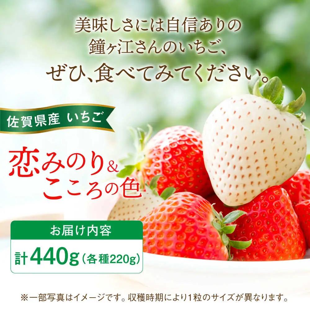 【2027年2月より順次発送】恋みのり・こころの色 220g×2パック（各1パック） / 佐賀県 / 鐘ヶ江農園 [41ASBK007]