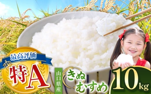 令和7年度産 きぬむすめ 白米 10kg ＜ 2026年3月中旬 〜 順次発送予定  ＞ ｜ 精米 白米 米 雑穀 お米 コメ 単一米 きぬむすめ 絹娘  山口 美祢 秋吉台  10kg