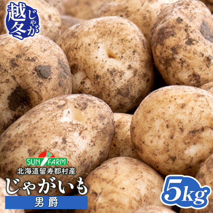 【ふるさと納税】越冬じゃがいも 男爵 5kg いも おいも 芋 イモ ジャガイモ ポテト だんしゃく オンライン 申請 ふるさと納税 北海道 留寿都 野菜 根菜 産地直送 新鮮 採れたて ポテトサラダ コロッケ マッシュポテト 5キロ 留寿都村【24022】