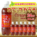 【ふるさと納税】 コアップガラナ24本セット（500mlペットボトル） ふるさと納税 コアップガラナ ガラナ 500ml×24本入 ペットボトル 24本 NAQ003