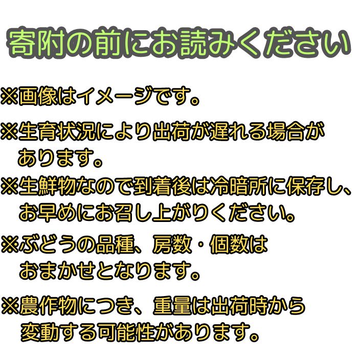 【南信州高森産】旬の ぶどう・梨セット 約2kg 長野県 信州 果物 くだもの フルーツ シャインマスカット ピオーネ 南水