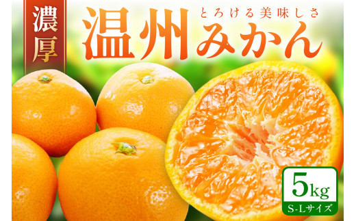 「濃厚な味のとろける美味しさ」 温州みかん 5kg《先行予約》 みかん ミカン  サイズ混合 Ｓ～Ｌサイズ 甘い 果物 フルーツ 濃厚 産地直送 期間限定 デザート 贈り物  贈答