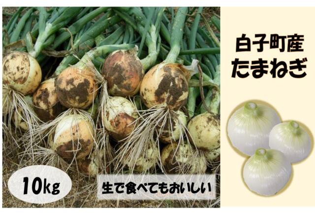 【令和8年の先行予約】数量限定　白子町産 たまねぎ 10kg ふるさと納税 たまねぎ 玉ねぎ 白子玉ねぎ スライス サラダ 健康 味噌汁 数量限定 先行予約 令和8年発送 2026年発送 千葉県 白子町 送料無料 SHAJ001