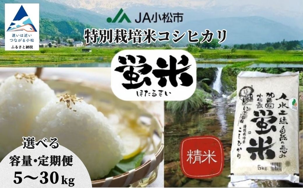 
                  【先行予約】令和8年産「 特別栽培米コシヒカリ 」精米 蛍米 選べる【容量】5㎏ / 10kg / 20kg【定期便】5kg×2ヶ月/ 3ヶ月/ 6ヶ月（毎月）お米 おこめ 白米 こしひかり 石川県産  コシヒカリ 小松市産 こしひかり【JA小松市】
                