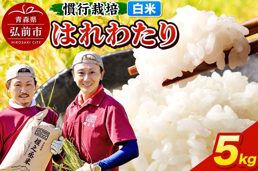 
                  【寄附金額見直しました】米 はれわたり 5kg ［白米］ 慣行栽培 青森県産 令和7年産 [お米 東北 精米 青森県 弘前市 白米 ブランド米]
                