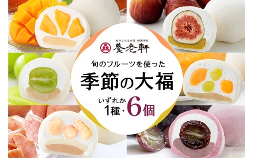 【期間限定】養老軒の季節の大福　6個入（1種類）│お楽しみ 夏 秋 人気 旬 フルーツ ふるーつ スイーツ 大福 和スイーツ おやつ おかし お菓子 和菓子 日時指定可