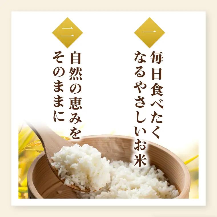 【先行予約】【8月下旬から順次発送】【数量限定】【令和8年産 新米】茨城県産つきあかり10kg（茨城県共通返礼品/城里町）（IH-1175）