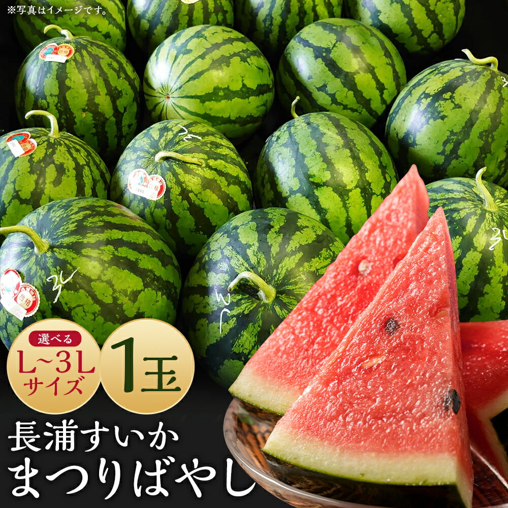 【ふるさと納税】長浦すいか まつりばやし 1玉 Lサイズ/2Lサイズ/3Lサイズ 選べるサイズ 西瓜 スイカ 果物 フルーツ 長崎市産 長崎県産 九州産 送料無料【2025年6月下旬～8月下旬に順次発送予定】