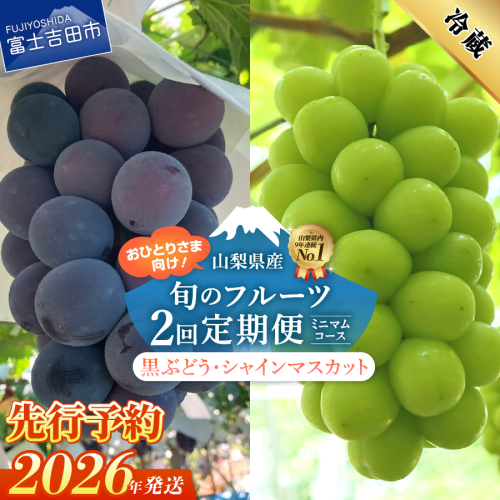 【2026年先行予約】【ミニマム 2回定期便】厳選 旬のフルーツ定期便（黒ぶどう1房・シャインマスカット1房）